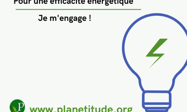 Réduire sa consommation d’énergie : Des gestes simples pour un avenir durable