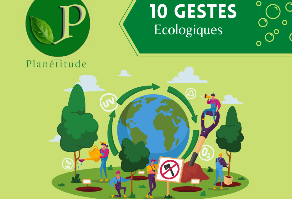 10 gestes simples pour protéger l’environnement au quotidien