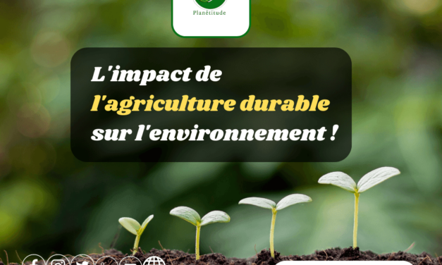 L’agriculture durable : Cultiver un avenir vert et responsable