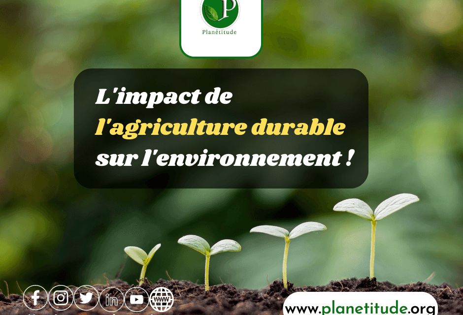 L’agriculture durable : Cultiver un avenir vert et responsable